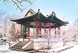 校園風景