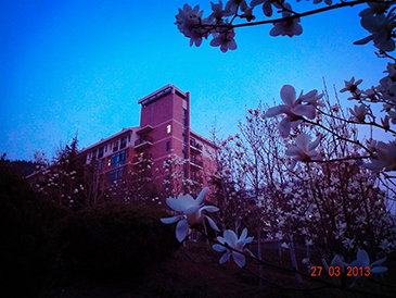 校園風景