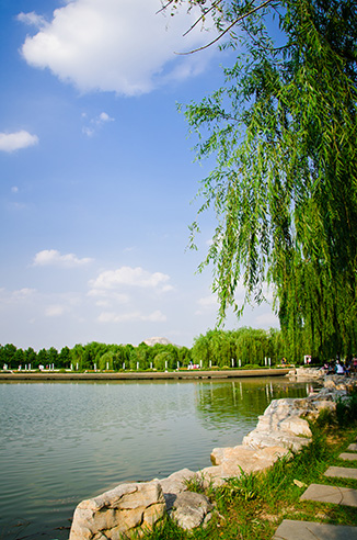 校園風景