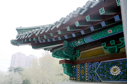校園風景